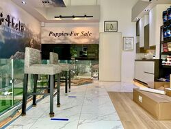 Vibes @ Kovan (D19), Shop House #577699341